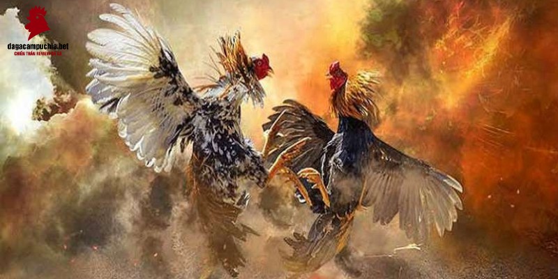 Các trò chơi cấp độ Gamebet phổ biến nhất - Gamebet