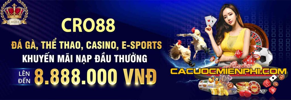 Hướng dẫn rút tiền thu nhập cấp độ Tf88 - Tf88