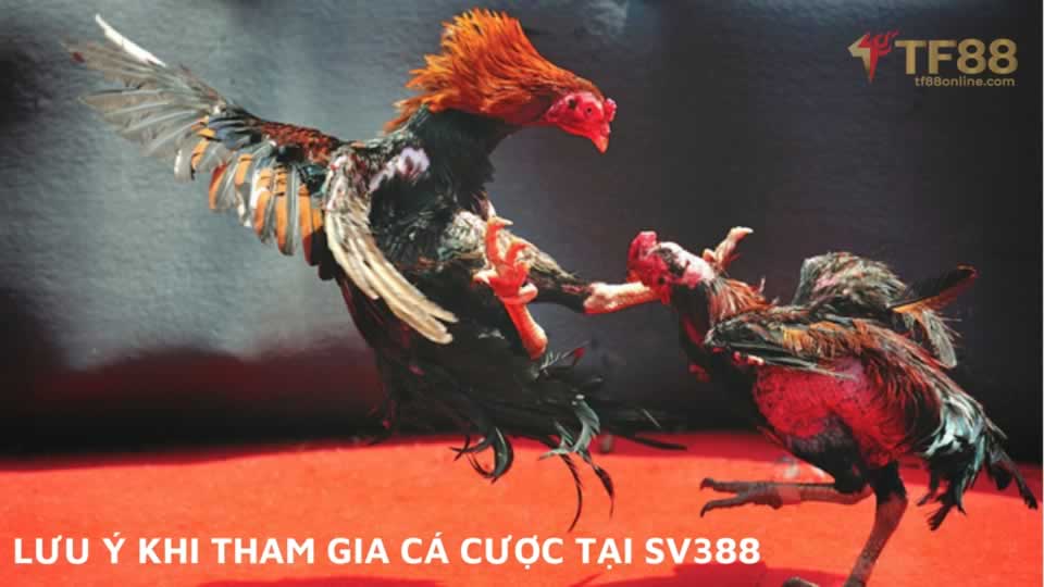 Nạp tiền vào tài khoản cá cược Qh888 của bạn với tốc độ cực nhanh - Qh888