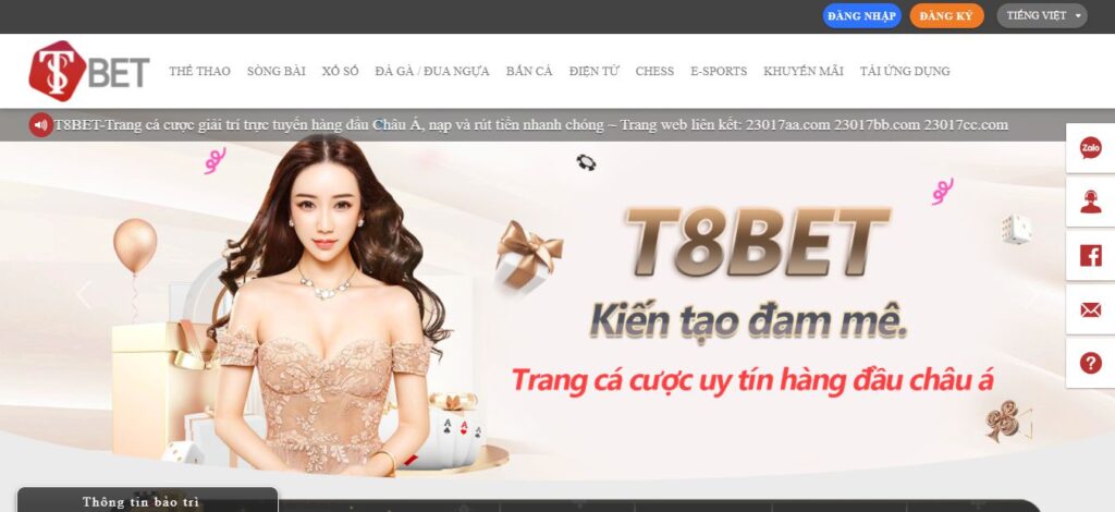 Hướng dẫn về quy trình giao dịch cơ bản trên một nền tảng giao dịch trực tuyến uy tín được xếp hạng Stake - Stake