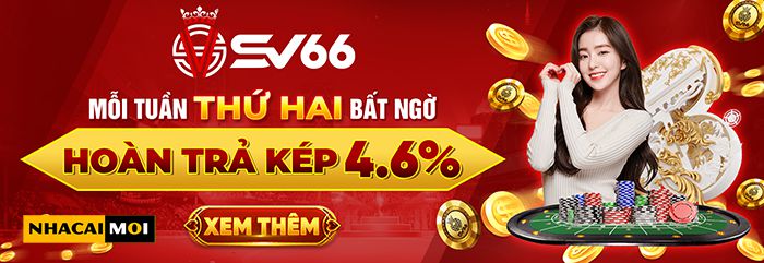Betvnd cung cấp các trò chơi chất lượng cao - Betvnd