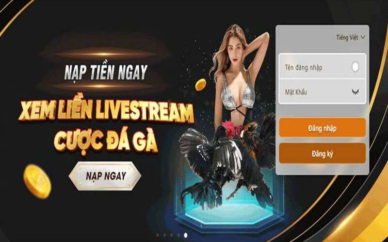 Nạp tiền vào tài khoản game của bạn bằng Kubet88 - Kubet88