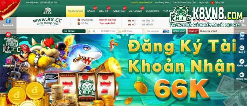 Bạn có nên thử Vb777 Live không? - Vb777