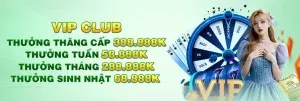 Lịch sử phiên bản ứng dụng Stake - Stake