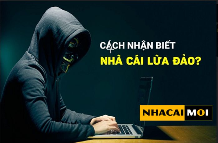 Tải phiên bản Pk88 mới nhất về điện thoại của bạn - Pk88
