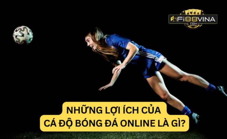 Điểm truy cập chính của nền tảng Sbotop là tốt nhất - Sbotop