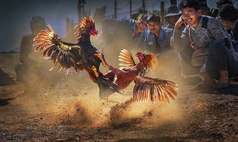 Dưới đây là danh sách một số tựa game đã góp phần làm nên sự phổ biến của các game được xếp hạng U888 - U888